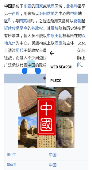 pleco chinese dictionary use on mobile browser
